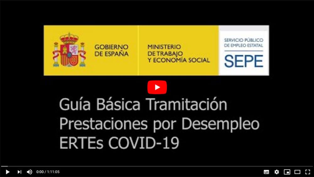 Intervencion En Webinar Sobre La Guia Basica De Tramitacion Por Prestaciones Por Desempleo Por Ertes