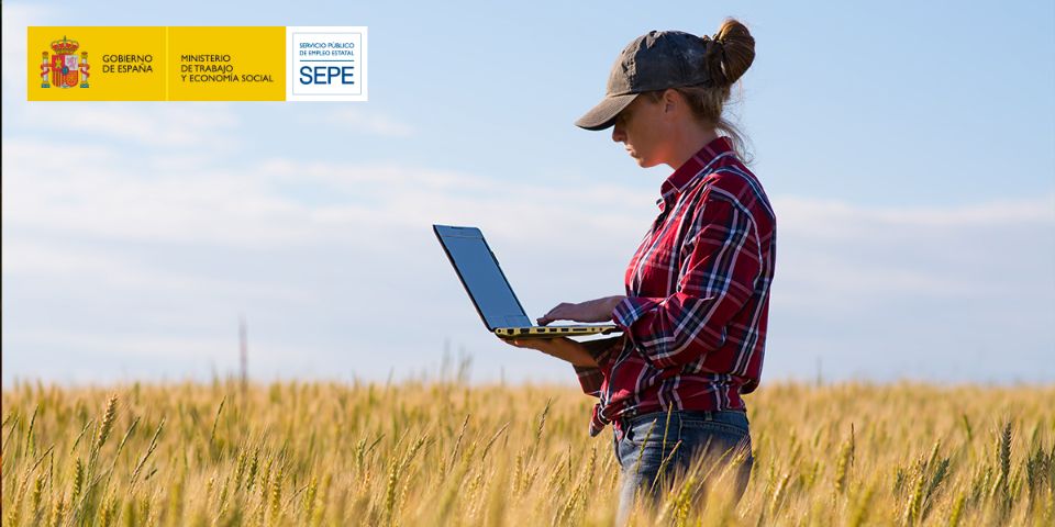 Ocupacion  sector agrario