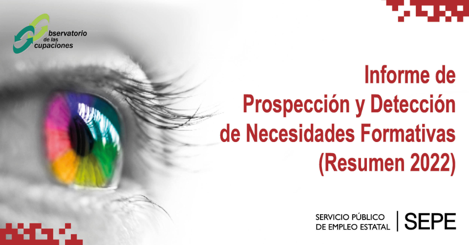 resumen necesidades formativas