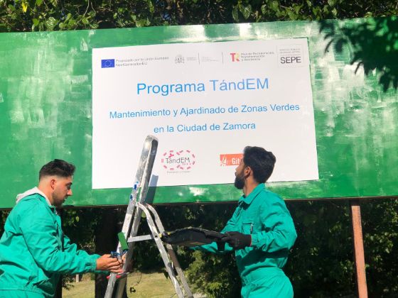 Dos operarios subidos a una escales colocando el cartel del "Programa TándEM" sobre un panel verde con un texto que dice "Mantenimiento y Ajardinado de Zonas Verdes en la Ciudad de Zamora" acompañado de los logos de los diferentes organismos o entidades implicados en la actividad.