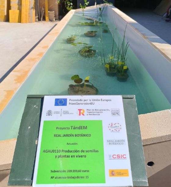 Imagen del cartel y la ejecución de uno de los proyectos