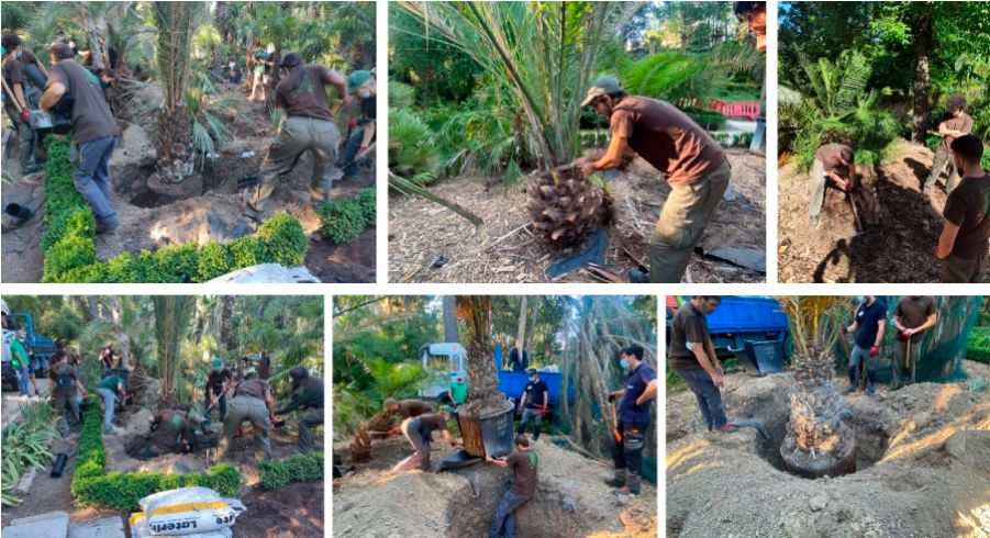Conjunto de fotografías de alumnos de las formaciones prácticas en jardinería y arboricultura realizadas por el Real Jardín Botánico