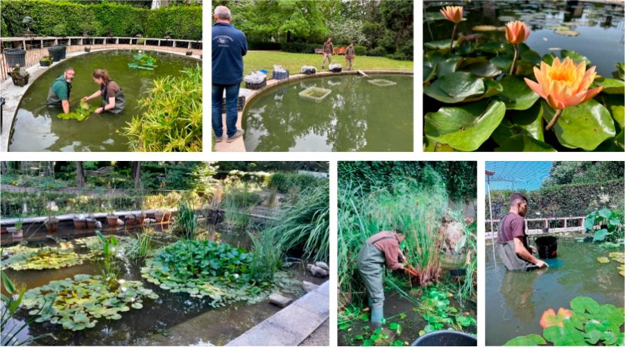 Conjunto de fotografías de alumnos de las formaciones prácticas en jardinería y arboricultura realizadas por el Real Jardín Botánico
