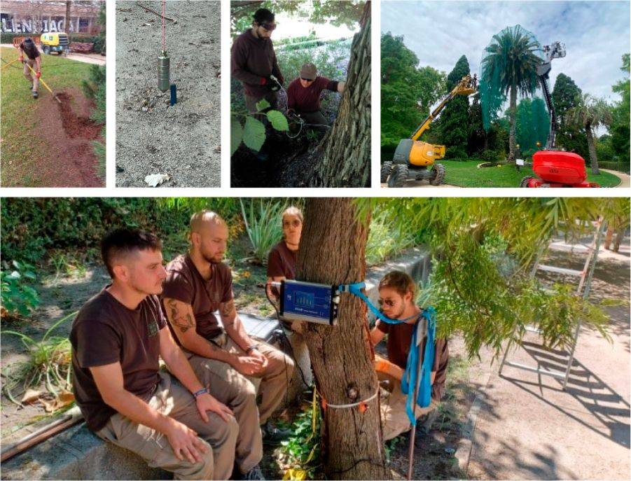Conjunto de fotografías de alumnos de las formaciones prácticas en jardinería y arboricultura realizadas por el Real Jardín Botánico