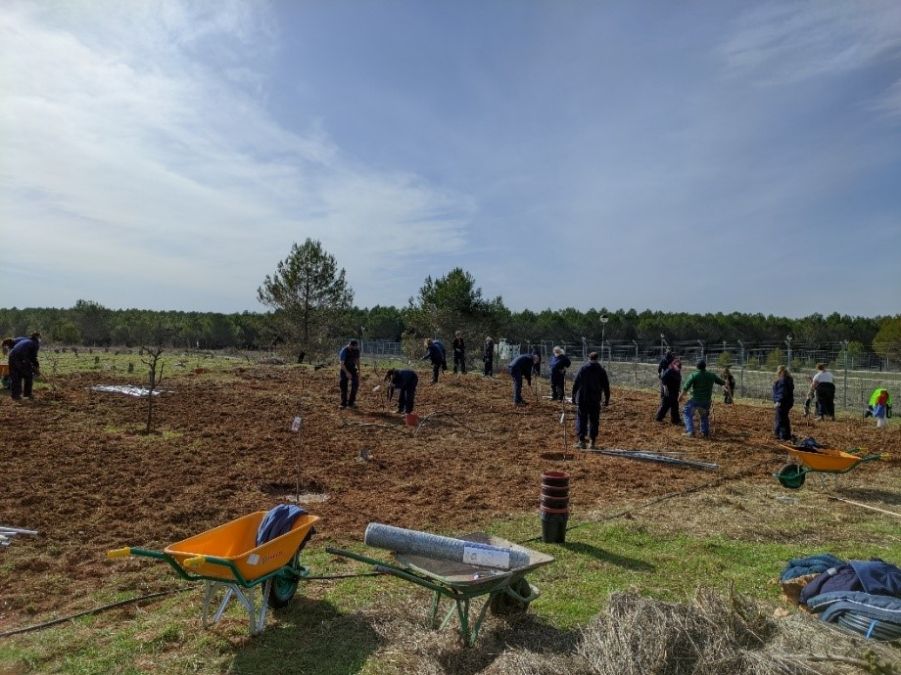 plantación de frutales